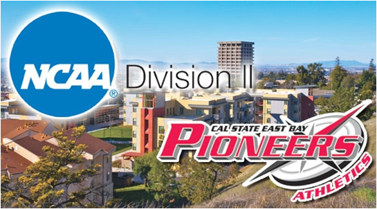 NCAA Division and Pioneers logo